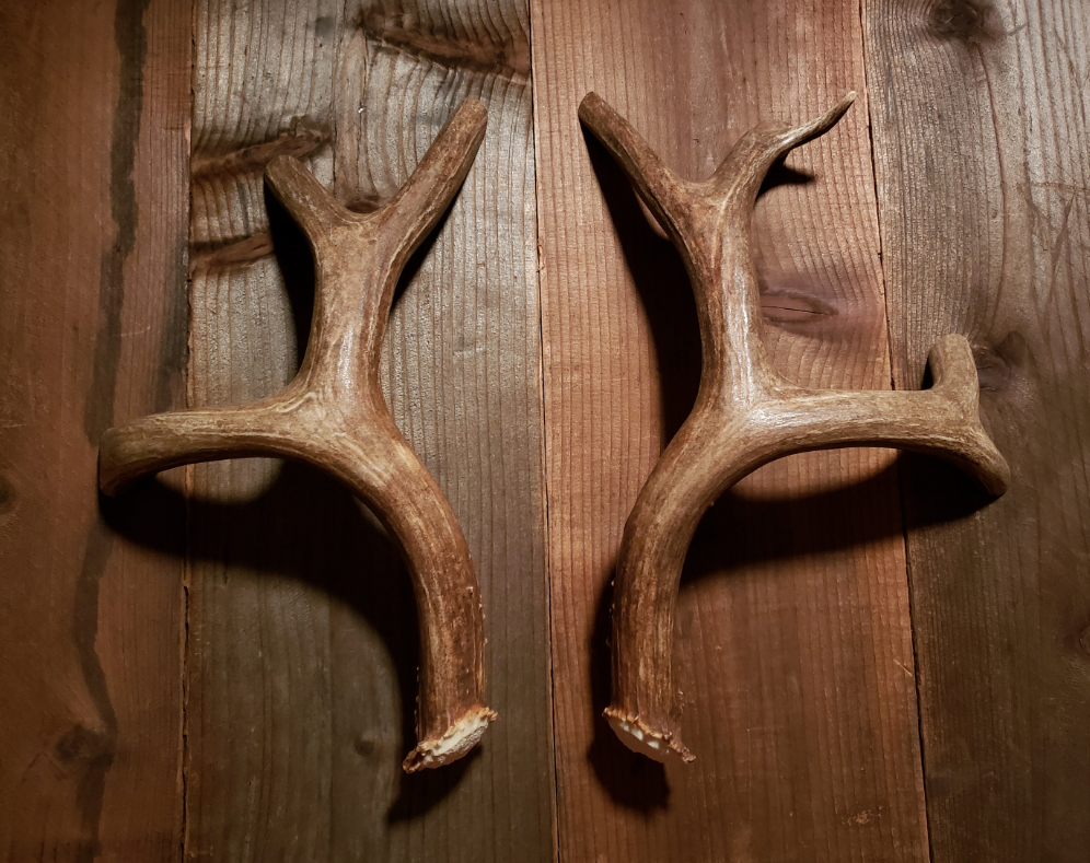 Real Antler Door Handles