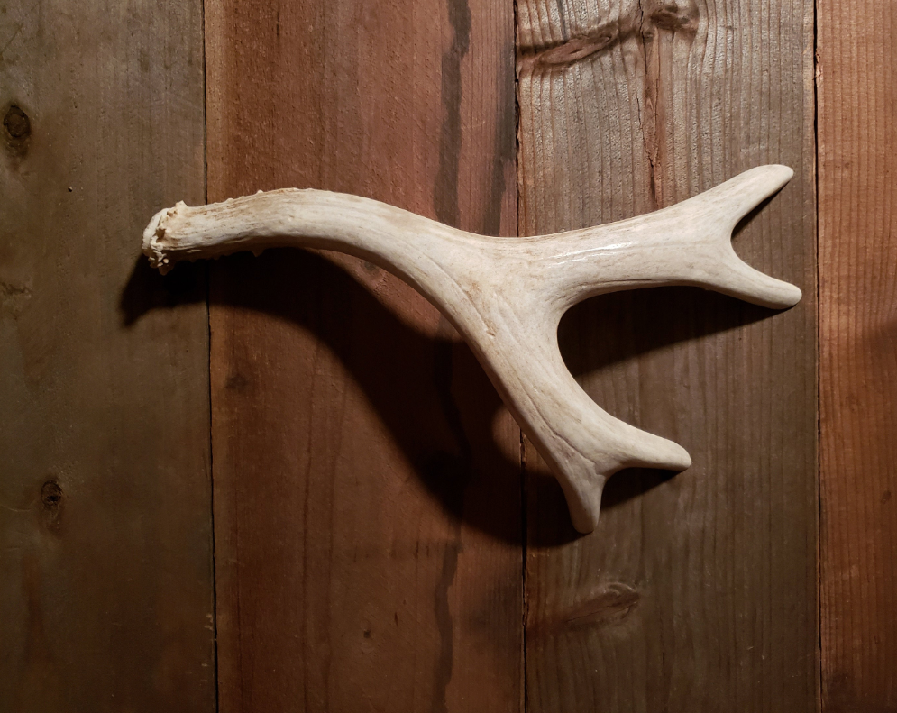 Real Antler Door Handles