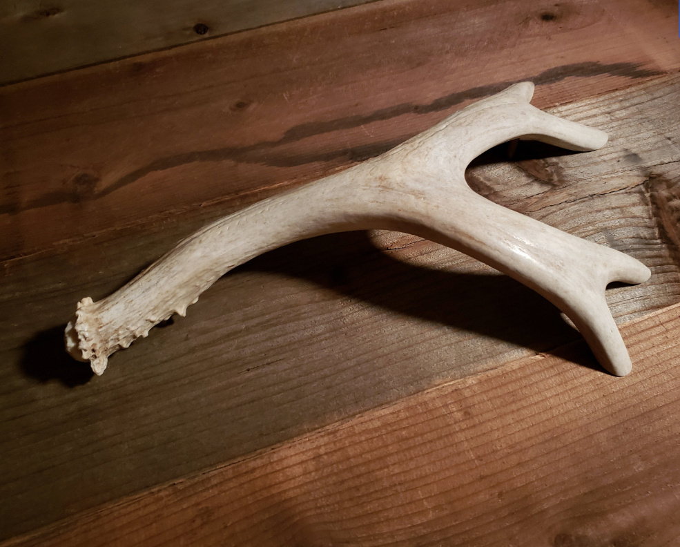 Real Antler Door Handles