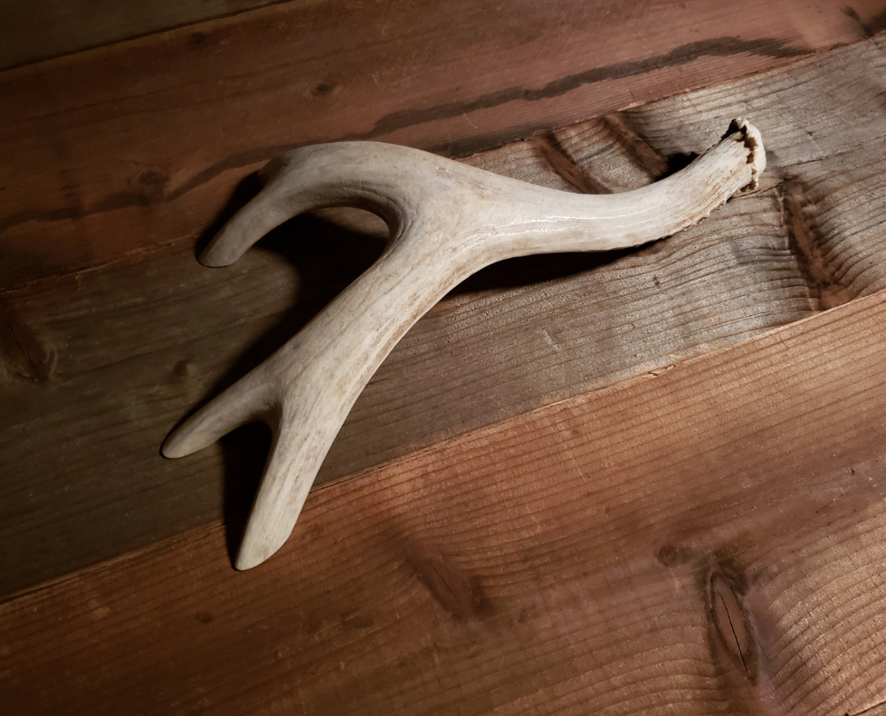 Real Antler Door Handles