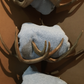 Real Deer Antler Towel Rack