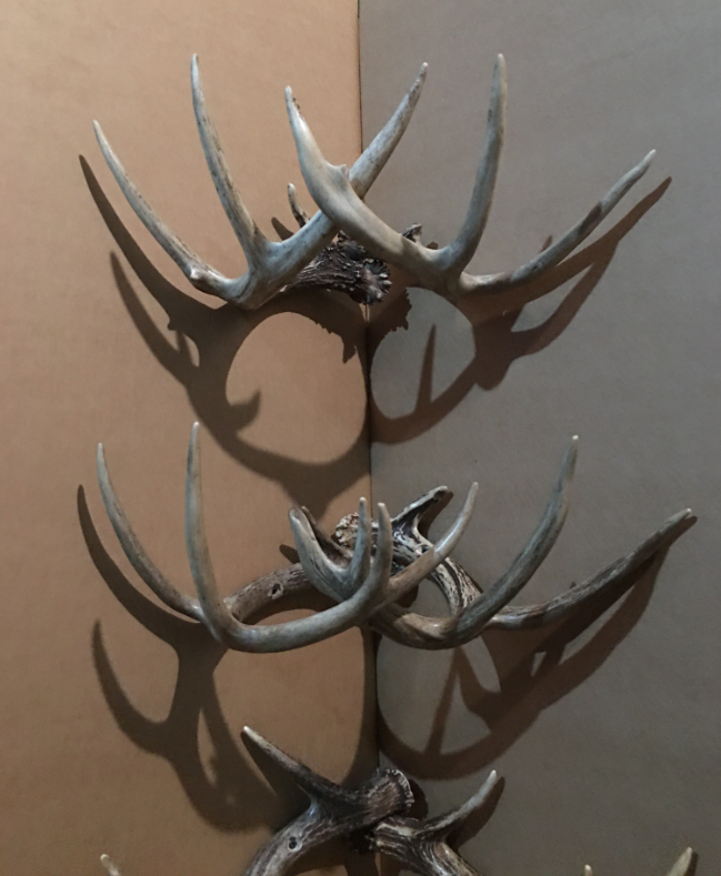 Deer antler hat rack sale
