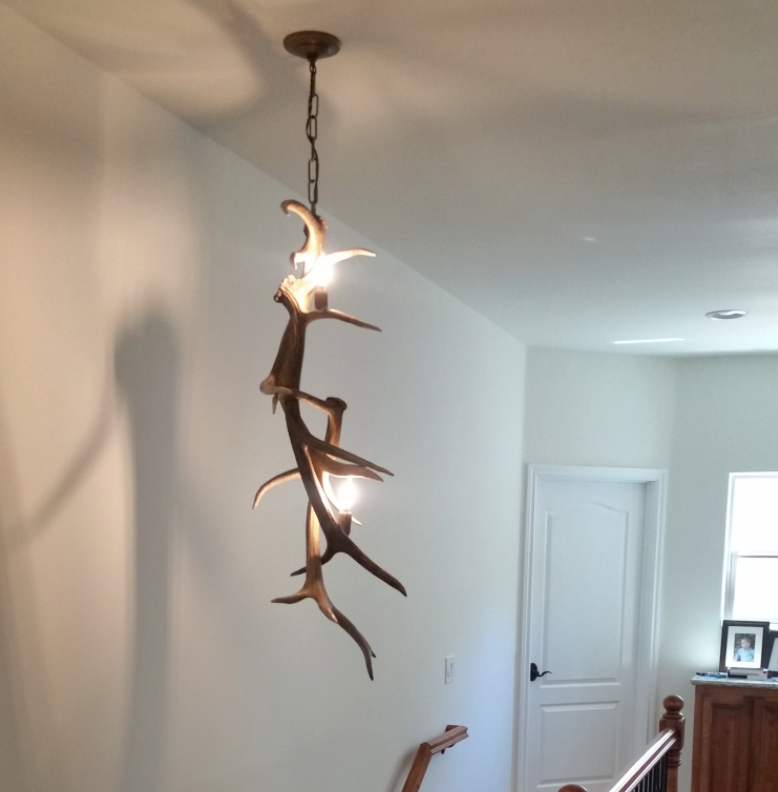 Elk Antler Pendant Light