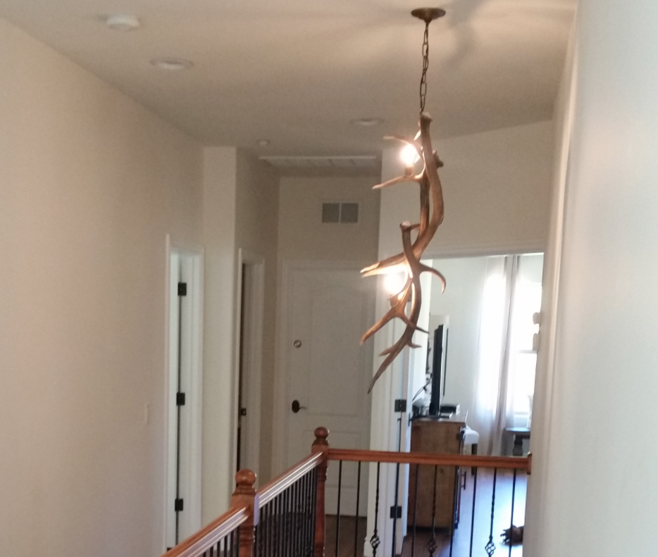 Elk Antler Pendant Light