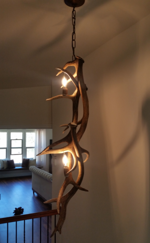 Elk Antler Pendant Light