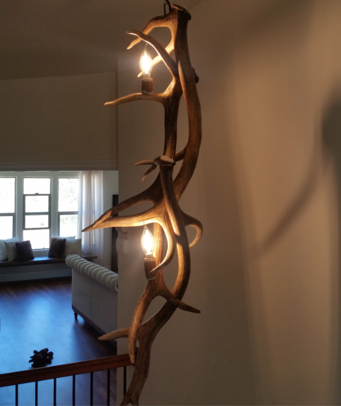 Elk Antler Pendant Light