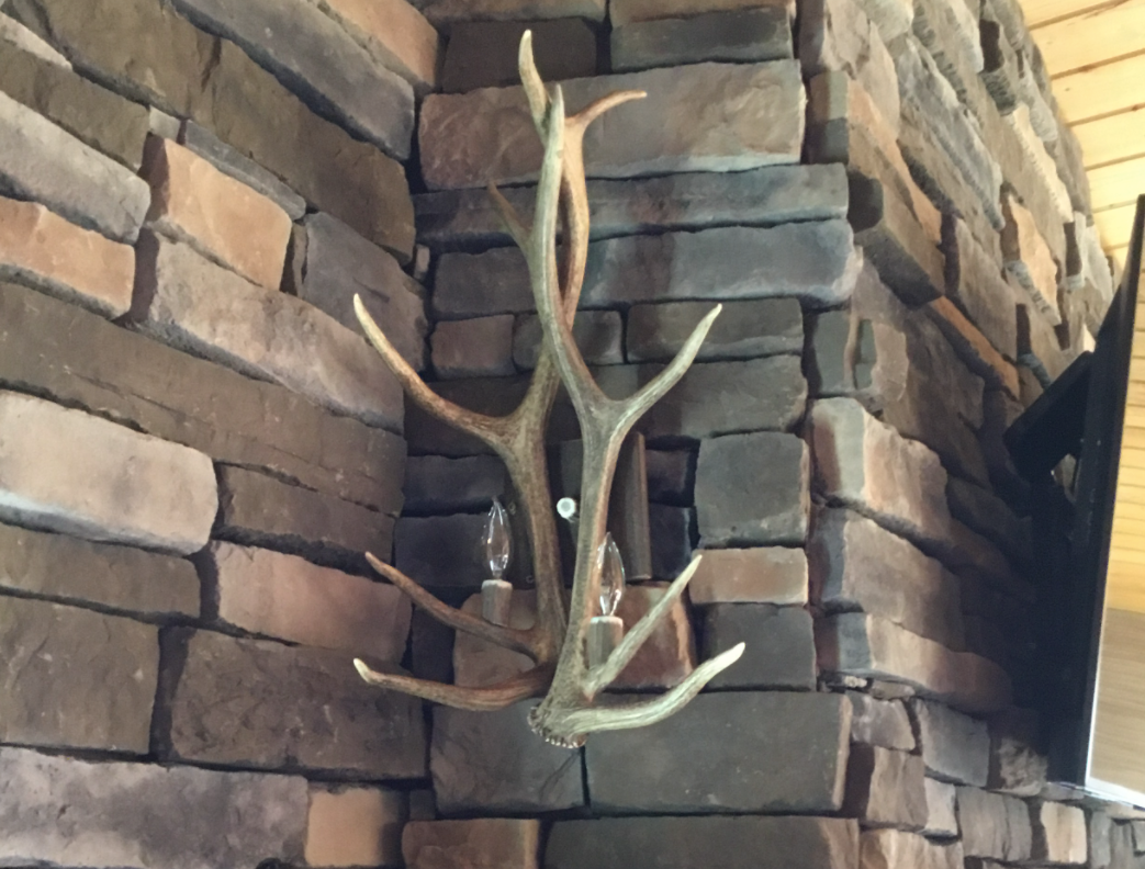 Real Elk Antler Wall Sconce