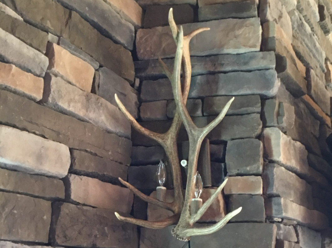 Real Elk Antler Wall Sconce