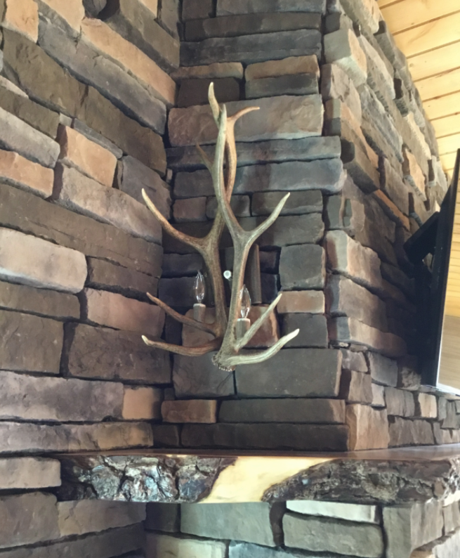 Real Elk Antler Wall Sconce