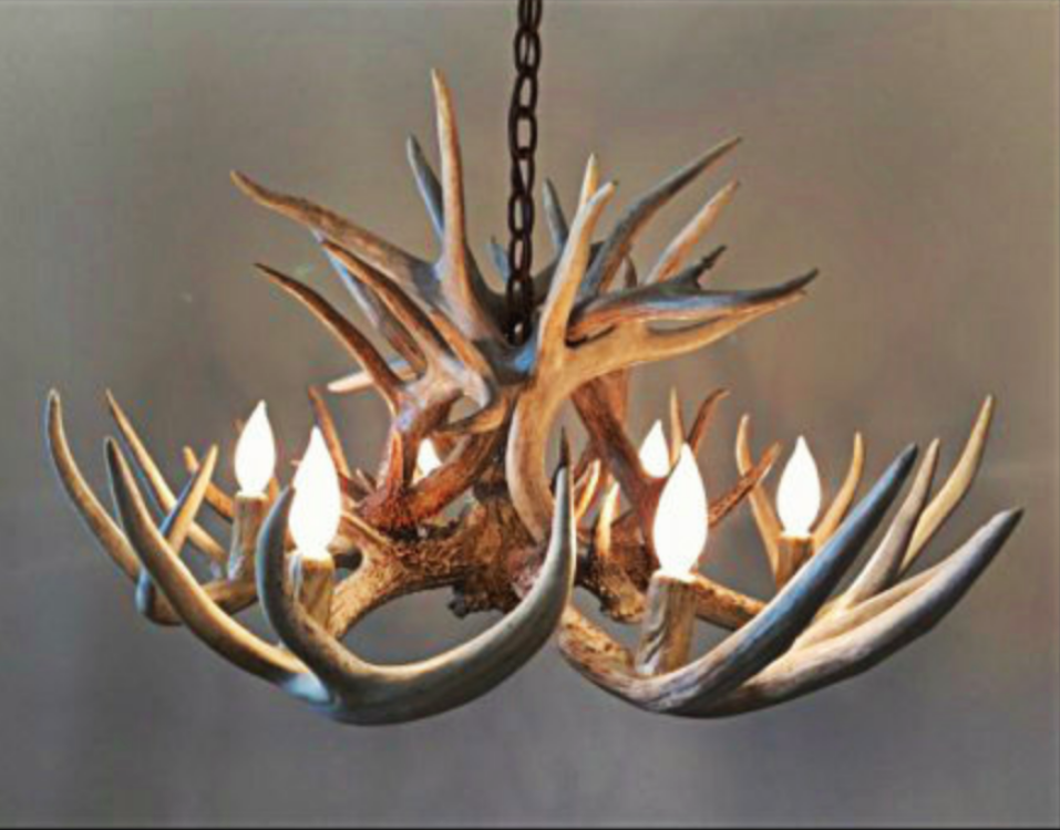 The Wild Rose Deer Antler Chandelier