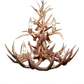 Lochsa Wilderness Deer Antler Chandelier, 23" W x 20" T, 2 tier 7 lights