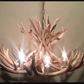 Colorado Deer Antler Chandelier, 28" W x 15" T, 4 Lights