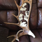 Alaska Big 4 Antler Carving