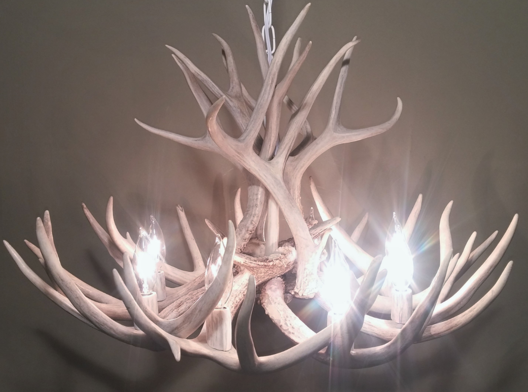 The Wild Rose Deer Antler Chandelier