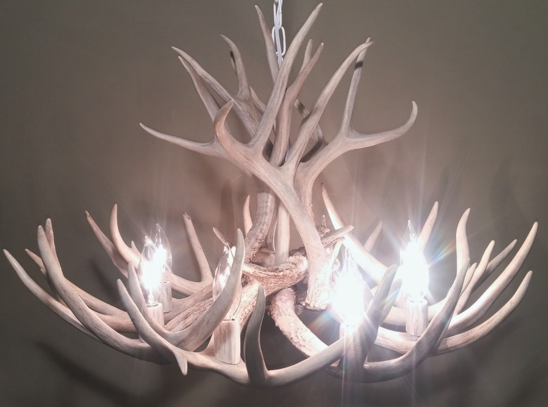 Selway Wilderness Deer Antler Chandelier, 27 W x 18 T, 4 Lights –  TetonLighting™