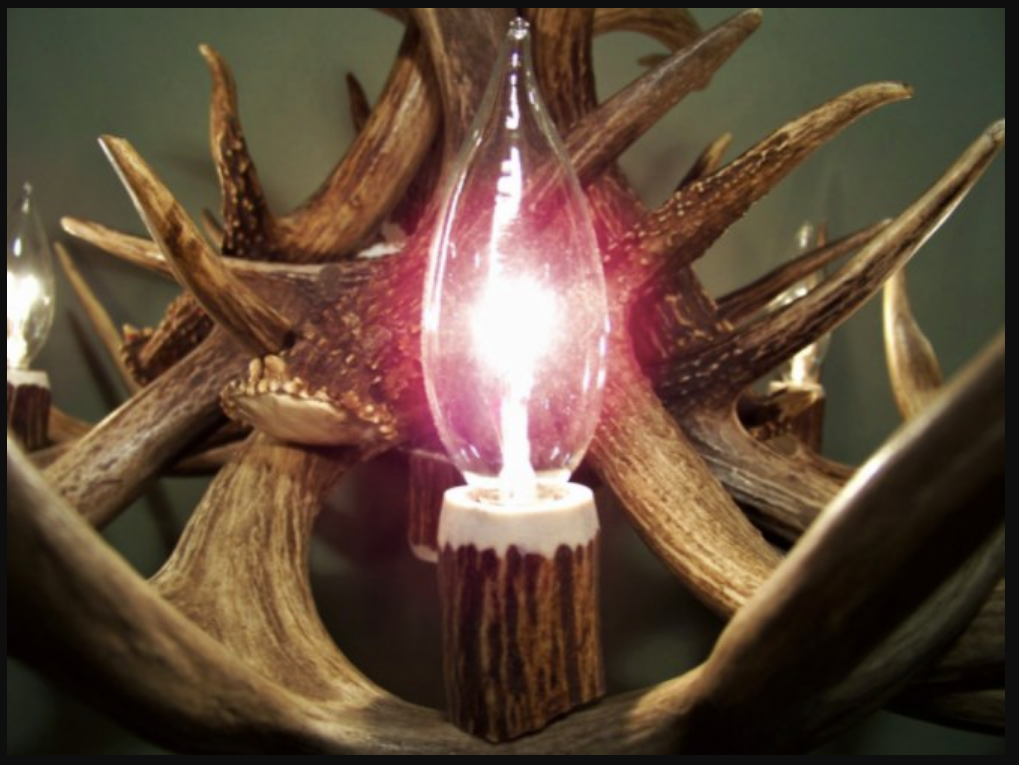 The Wild Rose Deer Antler Chandelier