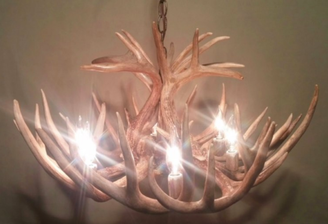 Mississippi Deer Antler Chandelier, 26" W x 16" T, 6 Lights