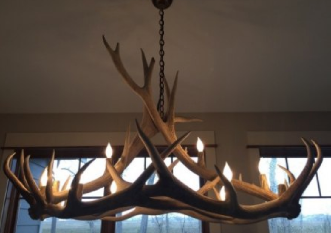 Jasper Elongated Elk Antler Chandelier