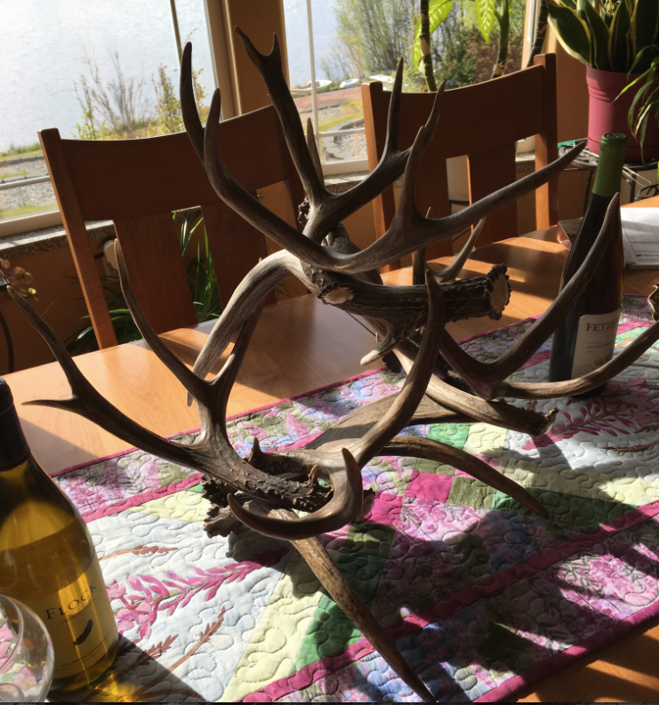 Antler Wine Rack, 3 Bottle