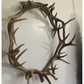 Elk and Deer Antler Wreath Garland
