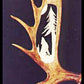 Wolf Midnights Voice Moose Antler Carving